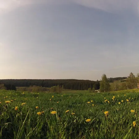 Doppelhaushaelfte In Hasselfelde